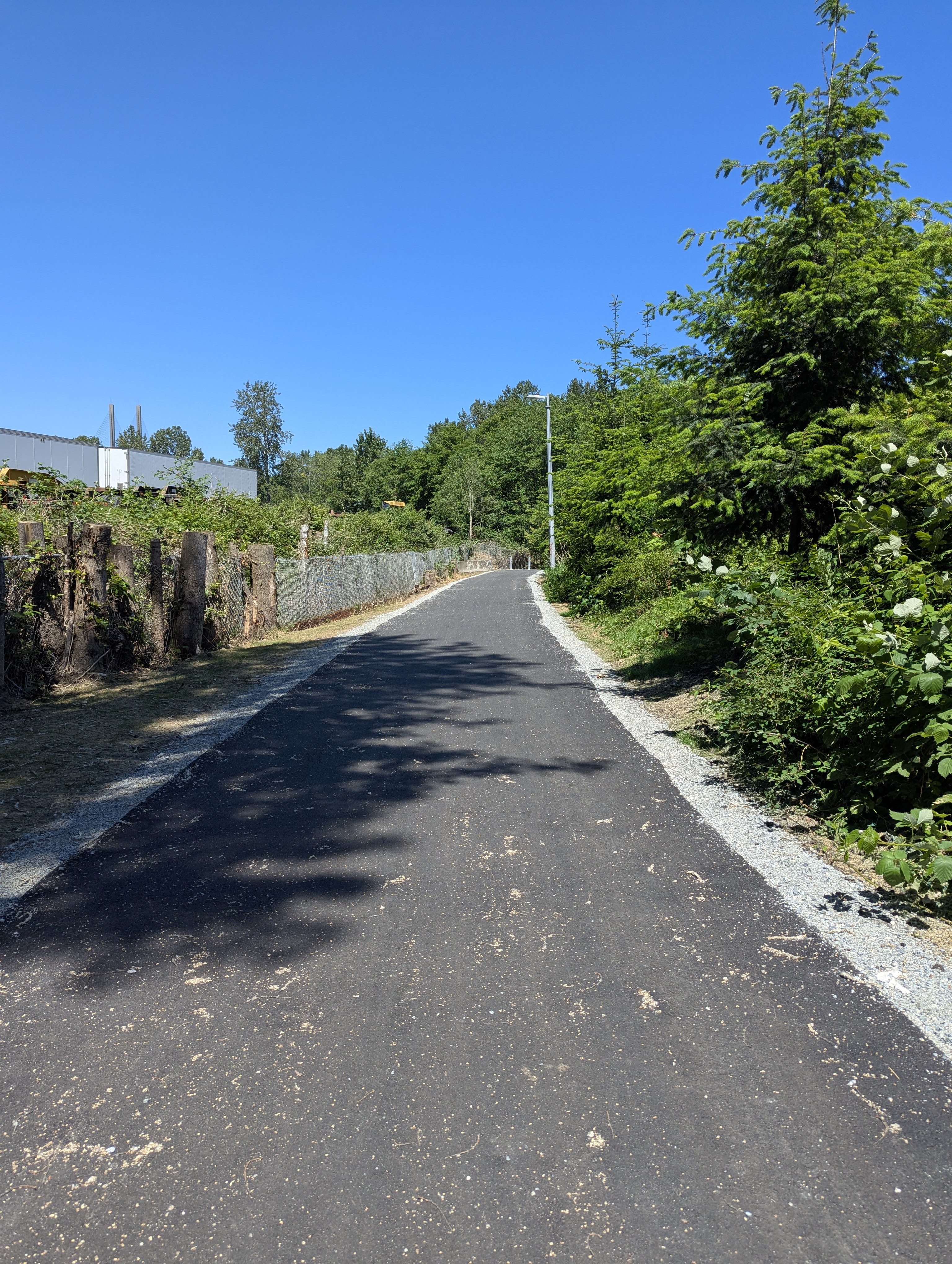 Birthday Trip to Canada, Delta, Burns Bog, Vancouver, British Columbia